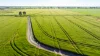 65 Lee Valley Road, Collendina, NSW 2646-Image