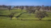 6507 Golden Highway, Merriwa, NSW 2329-Image