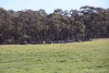 657 Strathlea Road, Strathlea, Vic 3364-Image