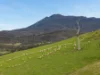 669 Black Brush Road, Broadmarsh, Tas 7030-Image