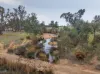 67 Owens Road, Elphinstone, Vic 3448-Image