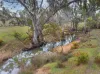67 Owens Road, Elphinstone, Vic 3448-Image