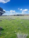 670 Coybil Road, Weetaliba, NSW 2395-Image