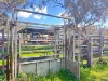 670 Coybil Road, Weetaliba, NSW 2395-Image