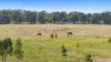 671 Tinamba-Seaton Road, Tinamba, Vic 3859-Image