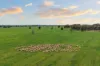 679 Bellarwi Road, West Wyalong, NSW 2671