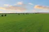 679 Bellarwi Road, West Wyalong, NSW 2671-Image