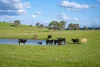 680 Fish River Road, Narrawa, NSW 2583-Image