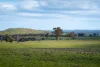 680 Fish River Road, Narrawa, NSW 2583-Image