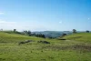 680 Fish River Road, Narrawa, NSW 2583-Image