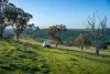 680 Fish River Road, Narrawa, NSW 2583-Image
