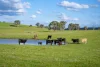 680 Fish River Road Narrawa via, Crookwell NSW 2583-Image