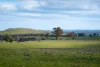 680 Fish River Road Narrawa via, Crookwell NSW 2583-Image