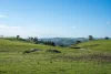 680 Fish River Road Narrawa via, Crookwell NSW 2583-Image