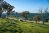 680 Fish River Road Narrawa via, Crookwell NSW 2583-Image