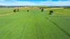 681 Emu Plains Road, Pulletop, NSW 2650-Image