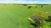 681 Emu Plains Road, Pulletop, NSW 2650-Image