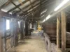 6854 Henty Highway, Branxholme, Vic 3302-Image