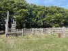 6854 Henty Highway, Branxholme, Vic 3302-Image