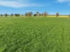697 Tallarook Road, Cowra, NSW 2794-Image