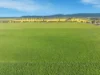 697 Tallarook Road, Cowra, NSW 2794-Image