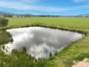 697 Tallarook Road, Cowra, NSW 2794-Image