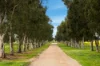 697 Tallarook Road, Cowra, NSW 2794-Image
