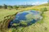 70 Warne Road, Amamoor, Qld 4570-Image