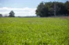 700 Oaklands Road Yarrowitch Valley Via, Walcha, NSW 2354-Image