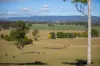 700 Oaklands Road Yarrowitch Valley Via, Walcha, NSW 2354-Image