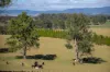 700 Oaklands Road Yarrowitch Valley Via, Walcha, NSW 2354-Image