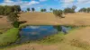 700 Oaklands Road Yarrowitch Valley Via, Walcha, NSW 2354-Image