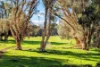 706 Orange Springs Road, Orange Springs, WA 6503-Image