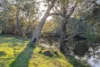706 Orange Springs Road, Orange Springs, WA 6503-Image