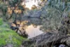 706 Orange Springs Road, Orange Springs, WA 6503-Image
