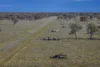 7082 Kamilaroi Highway, Brewarrina, NSW 2839-Image
