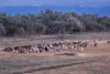 7082 Kamilaroi Highway, Brewarrina, NSW 2839-Image