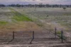 7082 Kamilaroi Highway, Brewarrina, NSW 2839-Image