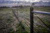 7082 Kamilaroi Highway, Brewarrina, NSW 2839-Image