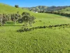 71-79 Ti Tree Creek Road, Yea, Vic 3717
