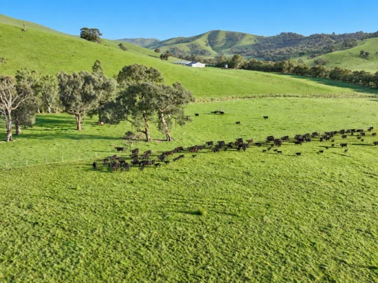 71-79 Ti Tree Creek Road, Yea, Vic 3717
