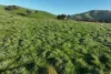 71-79 Ti Tree Creek Road, Yea, Vic 3717-Image