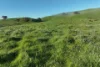 71-79 Ti Tree Creek Road, Yea, Vic 3717-Image