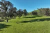 71-79 Ti Tree Creek Road, Yea, Vic 3717-Image