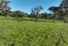 71-79 Ti Tree Creek Road, Yea, Vic 3717-Image
