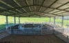 71-79 Ti Tree Creek Road, Yea, Vic 3717-Image