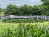 71 Boxsells Lane, Meroo Meadow NSW 2540-Image