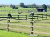 71 Boxsells Lane, Meroo Meadow NSW 2540-Image