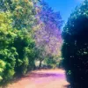 71 Boxsells Lane, Meroo Meadow NSW 2540-Image