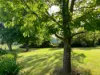 71 Boxsells Lane, Meroo Meadow NSW 2540-Image